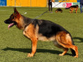 /album/fotogalerie-kaira-from-georgeland1/img-2768-jpeg1/