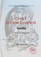 /album/fotogalerie-kaira-from-georgeland1/img-9286-edit-20240320110055-jpeg/