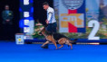 /album/fotogalerie-kaira-from-georgeland1/img-9489-jpeg1/