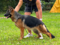/album/fotogalerie-ixi-from-georgeland/img-8622-jpeg/