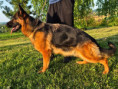 /album/fotogalerie-ixi-from-georgeland/463d37ff-8858-4565-90eb-22ff72a19848-jpeg1/