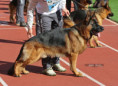 /album/fotogalerie-rodice-stenat/537564237-1437216218034603-2522219545616817838-n-jpg1/