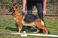 /album/fotogalerie-rodice-vrhu-ch3/img-2604-jpeg/
