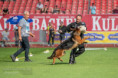 /album/fotogalerie-rodice-vrhu-ch3/img-6956-jpeg/