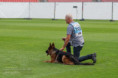 /album/fotogalerie-rodice-vrhu-ch3/img-6959-jpeg/