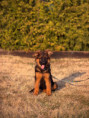 /album/fotogalerie-chuck/img-0105-jpeg/