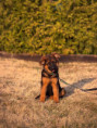 /album/fotogalerie-chuck/img-0106-jpeg/