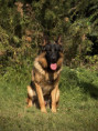 /album/fotogalerie-layla-a-marko/img-1054-jpg/