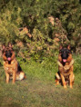 /album/fotogalerie-layla-a-marko/img-1057-jpg/