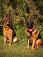 /album/fotogalerie-layla-a-marko/img-1059-jpg/