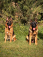 /album/fotogalerie-layla-a-marko/img-1061-jpg/