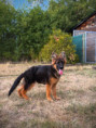 /album/fotogalerie-na-prodej/img-1115-jpg/