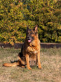 /album/fotogalerie-rodice-vrhu-l3/img-1458-jpg/