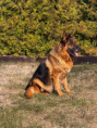 /album/fotogalerie-rodice-vrhu-l3/img-1489-jpg/
