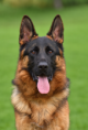 /album/fotogalerie-layla-a-marko/e272ed98-9ce0-4334-9999-0a2146b7d700-png/