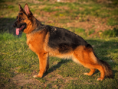 /album/fotogalerie-layla-a-marko/9ba0c2df-020c-4f8b-aa91-734ffaf7a4eb-png1/