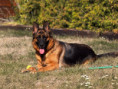 /album/fotogalerie-layla-a-marko/img-1406-jpg/