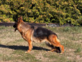 /album/fotogalerie-layla-a-marko/img-1432-jpg/