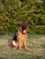 /album/fotogalerie-layla-a-marko/img-0893-jpeg/
