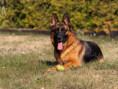 /album/fotogalerie-layla-a-marko/img-1426-jpeg/