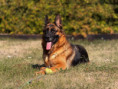 /album/fotogalerie-layla-a-marko/img-1424-jpeg/