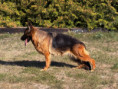 /album/fotogalerie-layla-a-marko/img-1431-jpeg/