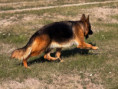 /album/fotogalerie-layla-a-marko/img-1440-jpeg/