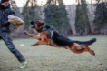 /album/fotogalerie-zucchero-a-angie/img-3560-jpeg/