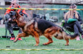 /album/fotogalerie-zucchero-a-angie/img-3553-jpeg/