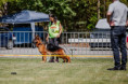 /album/fotogalerie-zucchero-a-angie/img-3551-jpeg/
