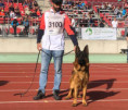 /album/fotogalerie-zucchero-a-angie/img-3540-jpeg/