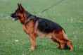 /album/fotogalerie-zucchero-a-angie/img-3536-jpeg/