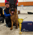/album/fotogalerie-zucchero-a-angie/img-3533-jpeg/